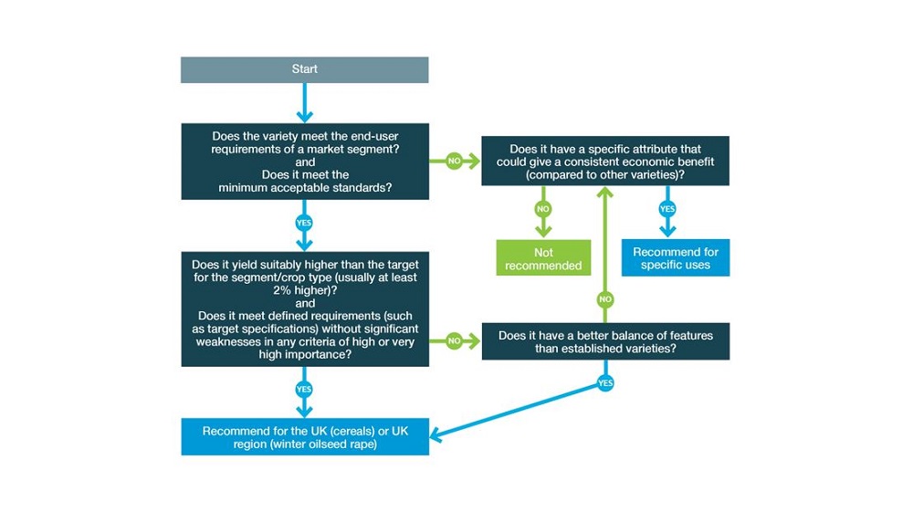 A decision tree showing how RL recommendation decisions are made